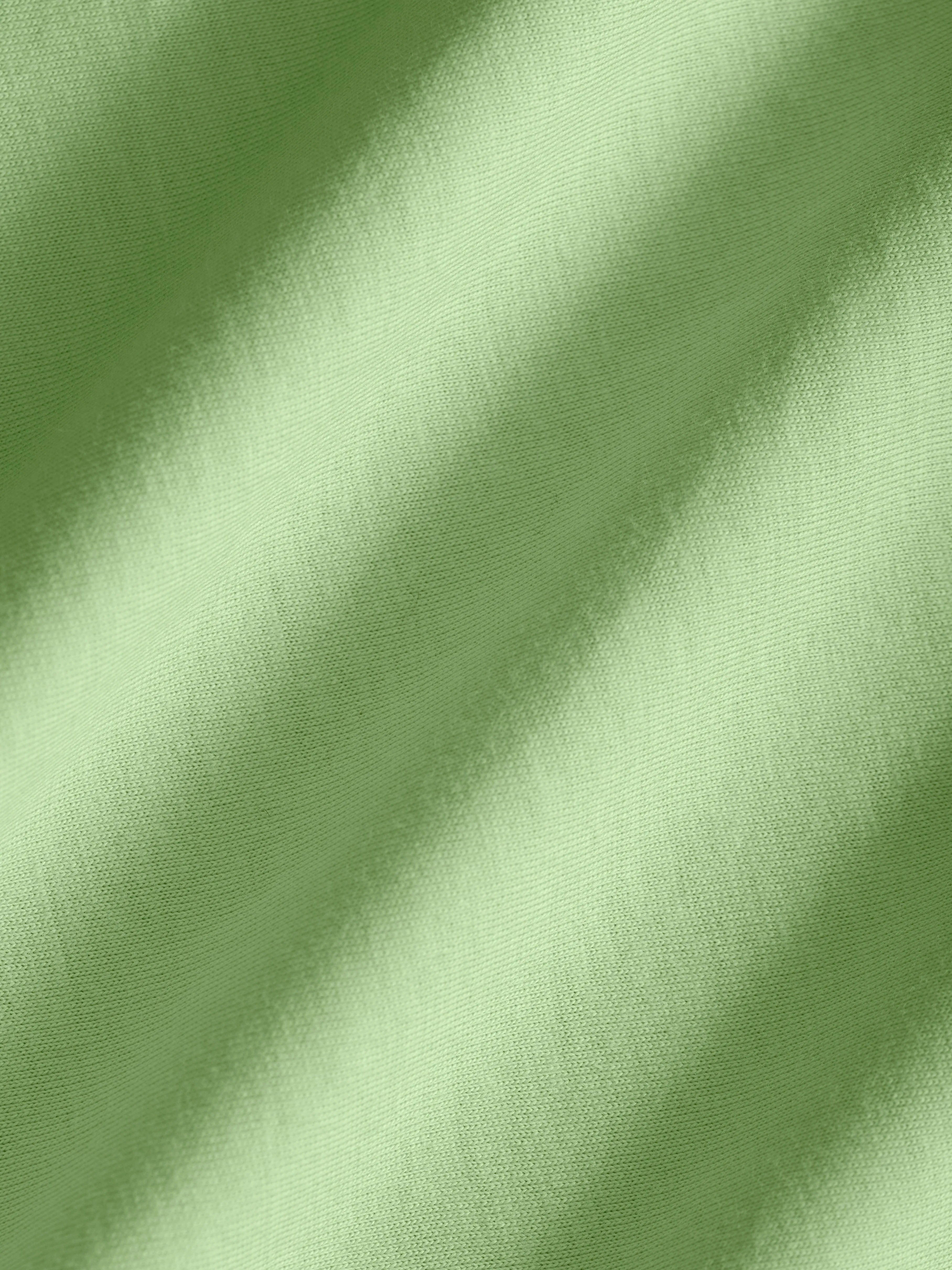 365 Midweight T-Shirt—fennel green