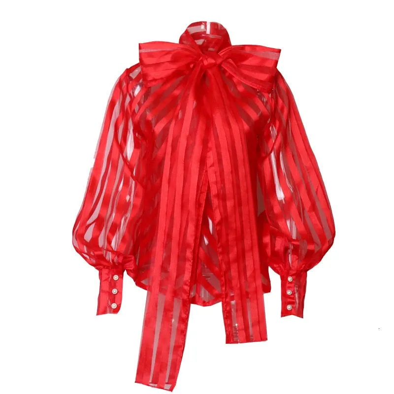 Aria Organza Designer Blouse