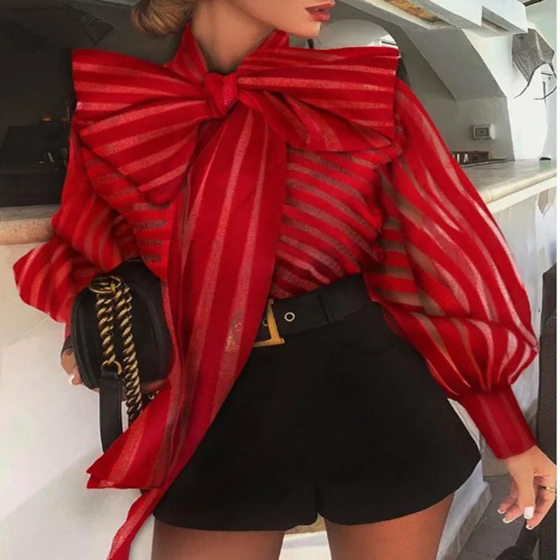 Aria Organza Designer Blouse