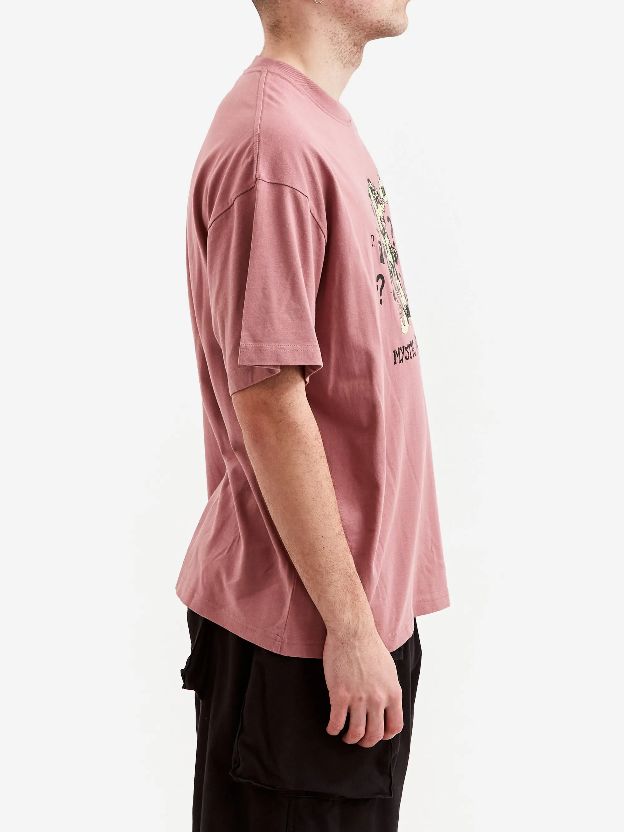 Brain Dead Mystic Awakenings T-Shirt - Rose Taupe
