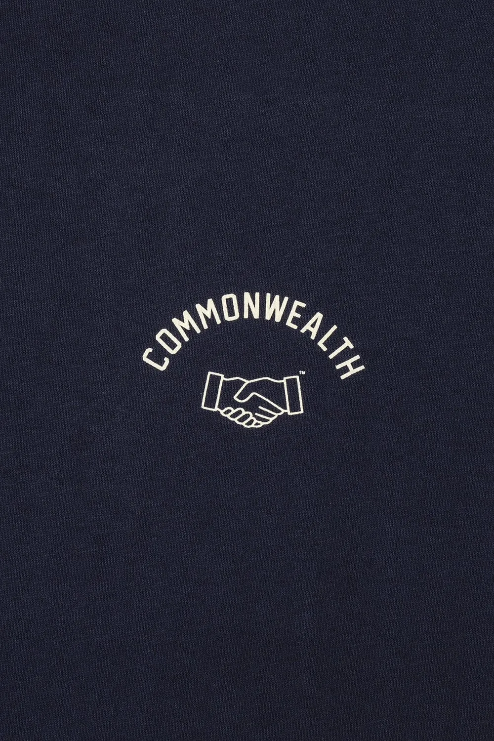 DC Chapter Tee