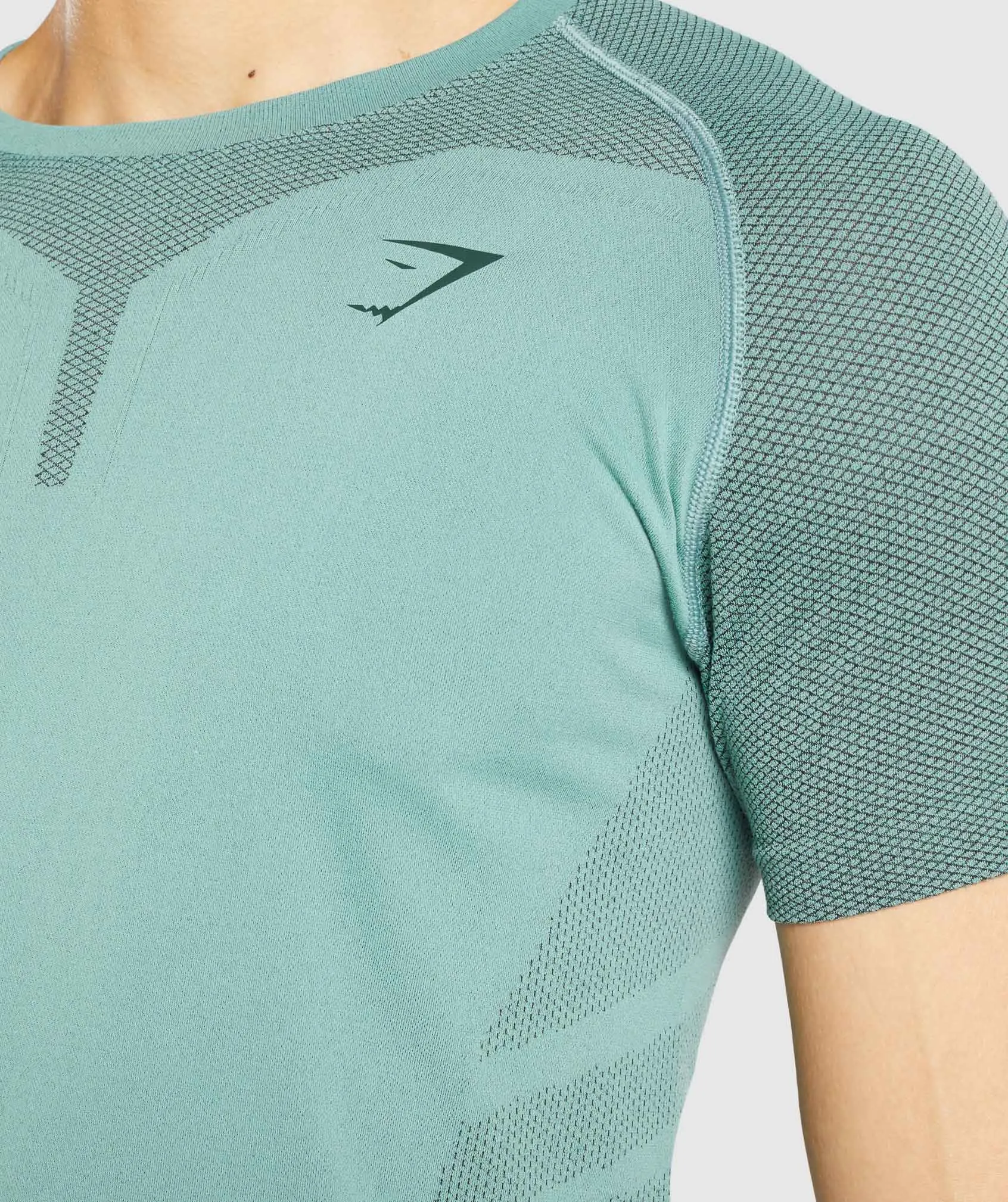 Gymshark 315 T-Shirt - Light Green/Dark Green