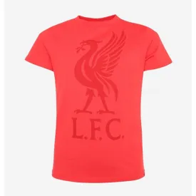 LFC JUNIOR LIVERBIRD TEE RED