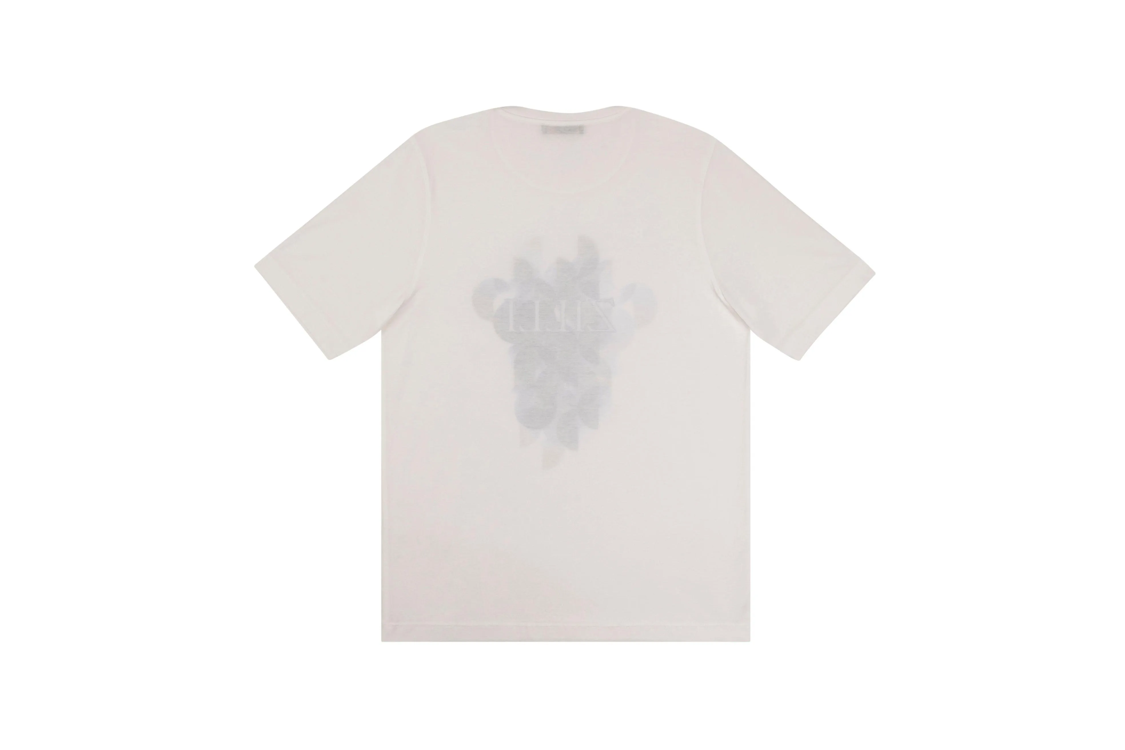 Round neck t-shirt with ZILLI graphic print